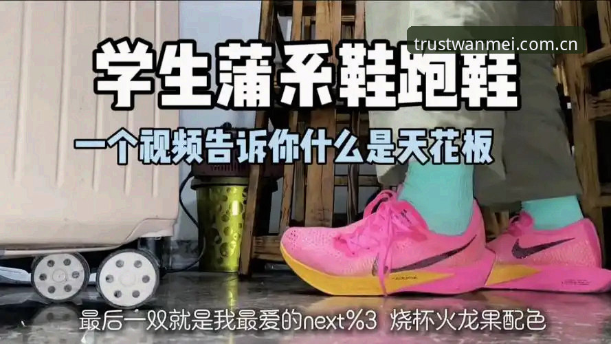 揭秘完美体育官网安全真相：一位老用户的真实体验分享